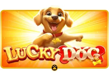 Bingo trực tuyến và trò chơi giải trí đặc sắc trên vietlot